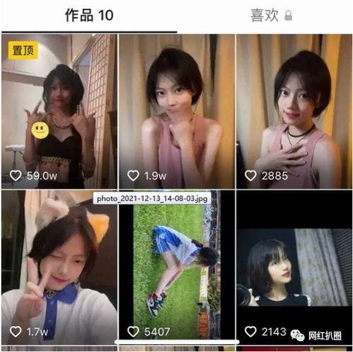 今日吃瓜娱乐直播视频在线观看,吃瓜娱乐直播，精彩瞬间在线放送